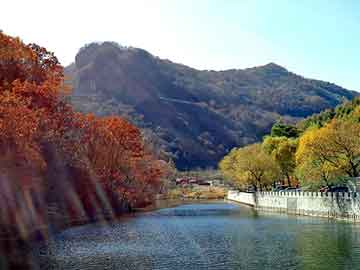 正版澳门天天开彩大全，圆钢标准